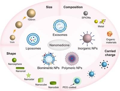 Nanomaterials targeting macrophages in sepsis: A promising approach for sepsis management
